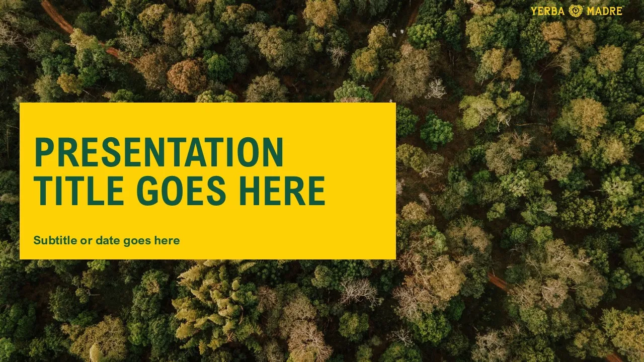 Presentation title slide template for Yerba Madre